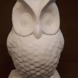 Corujão