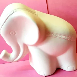 Elefante Indiano