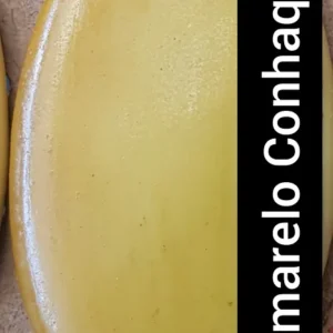 Amarelo Conhaque - "dark Yellow"