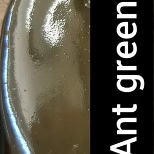 Ant Green