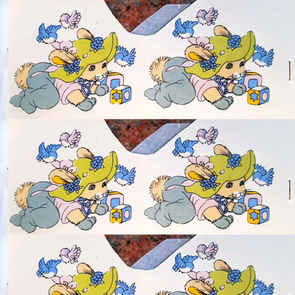 Coelhos Bebês e seus Pássaros
