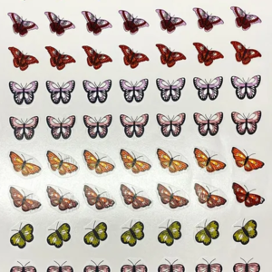 Borboletas Coloridas Diversas