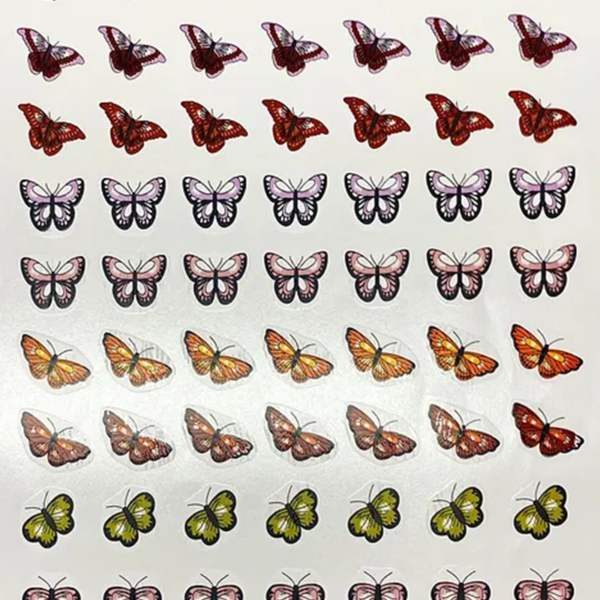 Borboletas Coloridas Diversas