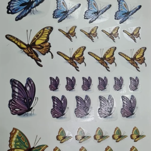 Borboletas Quadricolor
