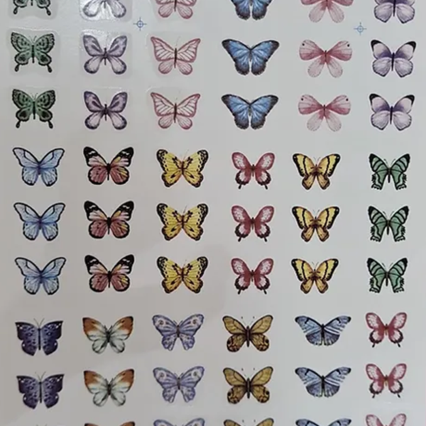 Borboletas Multi