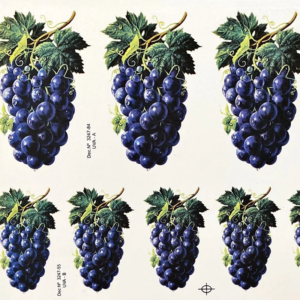 Cachos de Uva