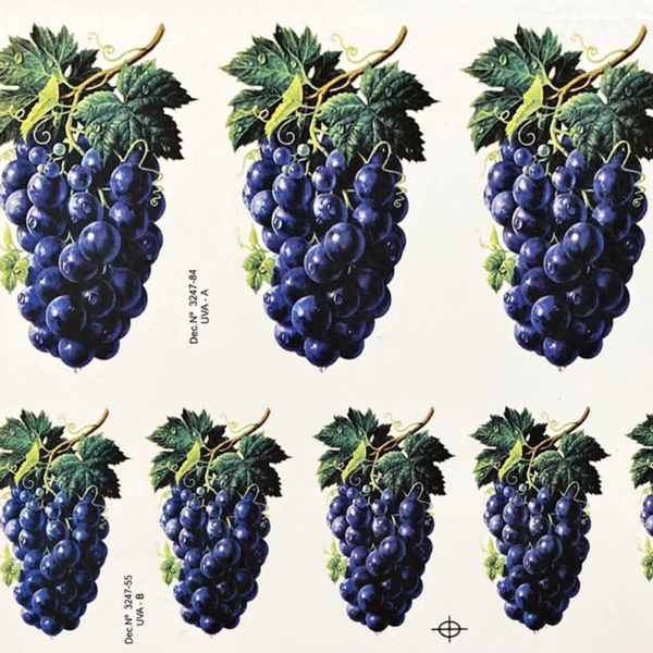 Cachos de Uva