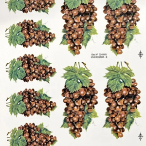 Cachos de Uva