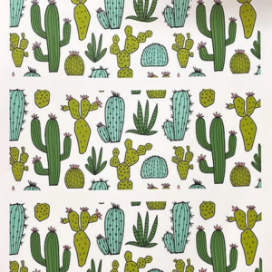 Cactos Color