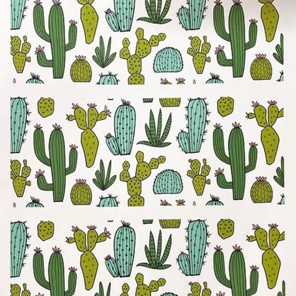 Cactos Color