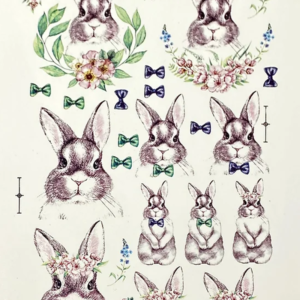 Casal de Coelhos