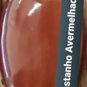Castanho Avermelhado