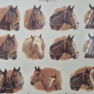 Cavalos Maiores