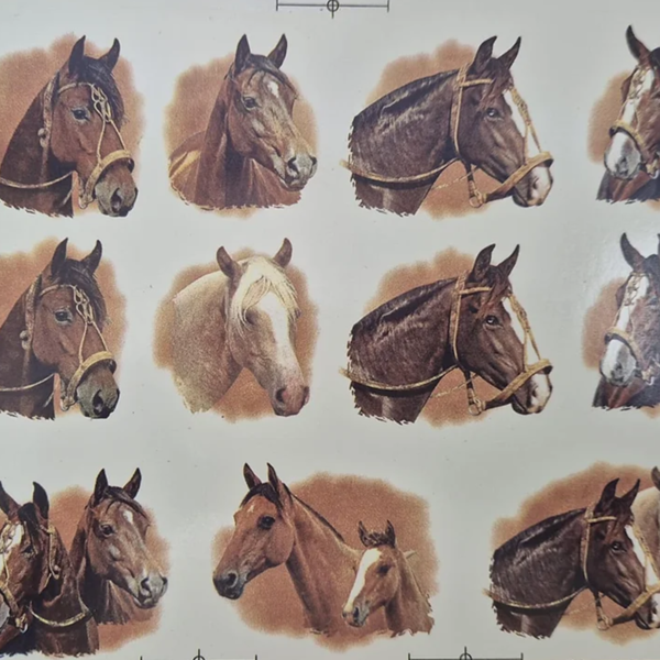 Cavalos Maiores