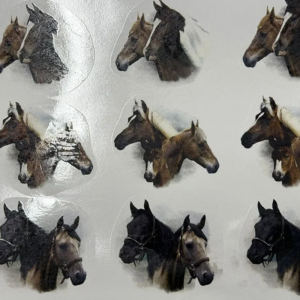 Cavalos Selvagens