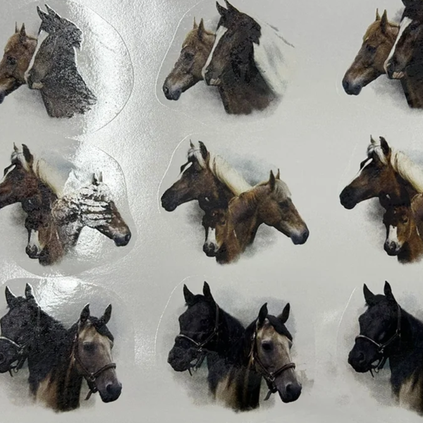 Cavalos Selvagens
