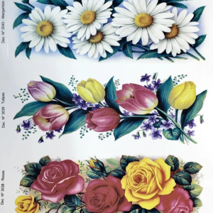 Due Rosas e Margaridas