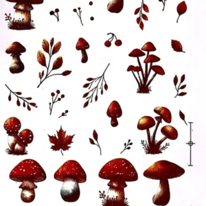 Familia Cogumelos