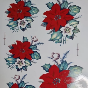 Flor de Natal GG