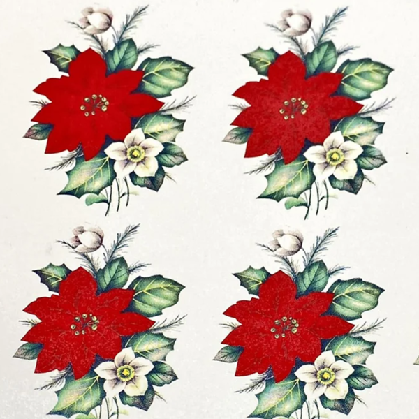 Flor de Natal G