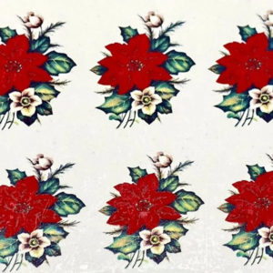 Flor de Natal Média
