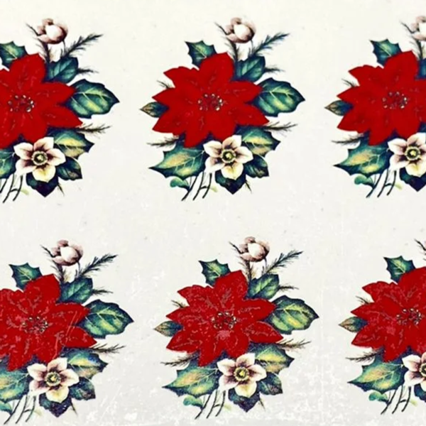 Flor de Natal Média