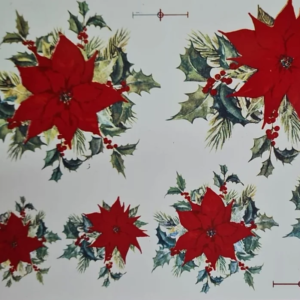Flor de Natal