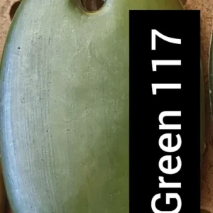 Green 117
