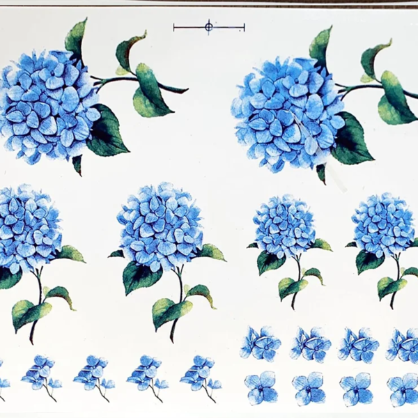 Hortência Azul