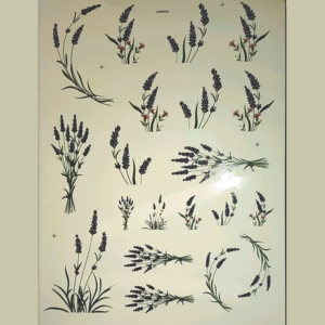 Lavanda
