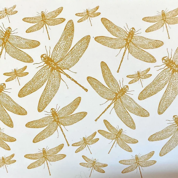 Libélulas Lustre