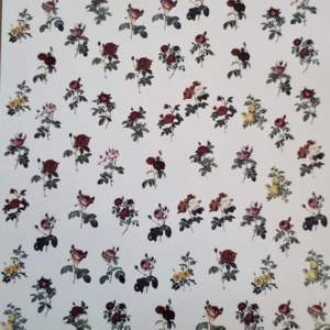 Mini Rosas Grandes