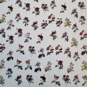 Mini Rosas Pequenas