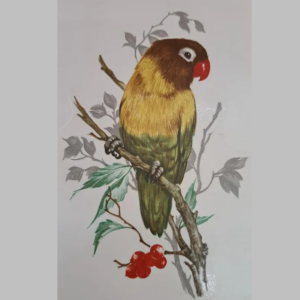 Pássaro Bico Vermelho