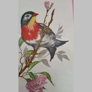 Pássaro Peito e Bico Vermelho