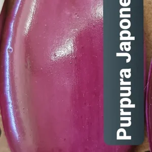 Púrpura  Japonesa
