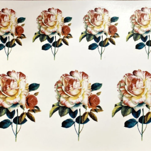 Rosa Color