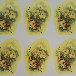 Rosas Abertas com 6