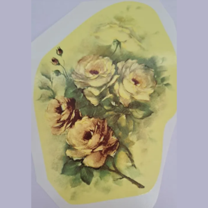 Rosas Abertas Média