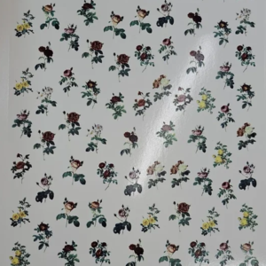Rosas Mini
