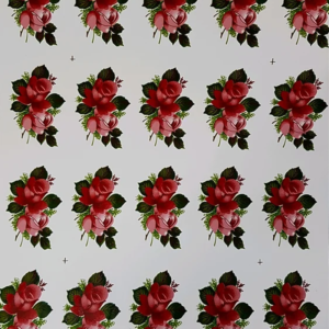 Rosas Pink