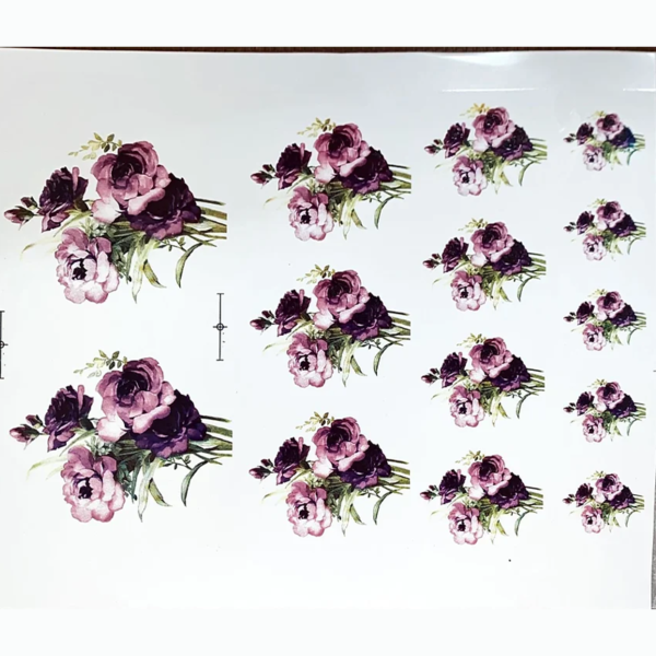 Rosas Rosa e Púrpura