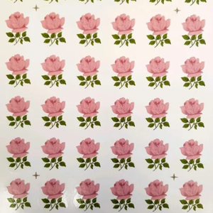 Rosinha Cor de Rosa