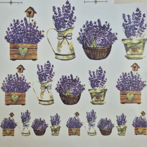 Vasinhos de Lavanda